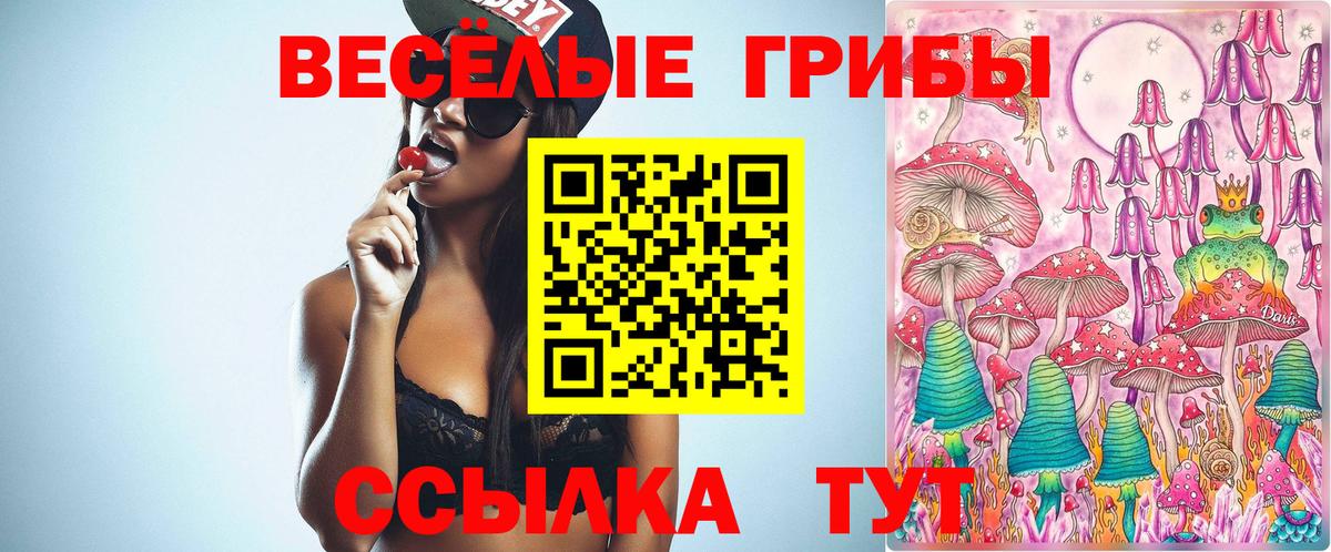 Псилоцибиновые грибы мухоморы  Галлюциногенные грибы Psilocybe  Сунжа  Вход с VPN 